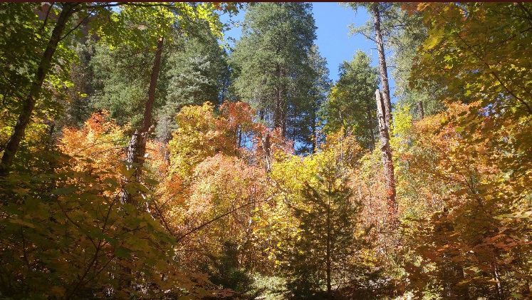westfork3